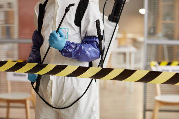 Professional Sewage Cleanup technician working in Augusta, MO